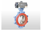 Butterfly Valve Manufacturer in UAE | Industrial Flow Solutions