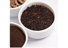 Chicory Trader in USA | Quality Chicory Supply