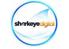 SEO Company In India - Shark Eye Digital