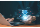 AI App or Website AI? A Phoenix Business Guide