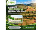 Managed Farmland Near Kanakapura Road: Own Green Land Without the Daily Burden Delightecofarms