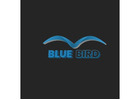 Blue Bird Events